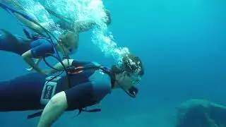 Finding Mr. Bubbles!