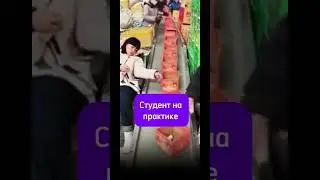 Отчеты по практике от Zaochnik по промо botan 10% скидка 