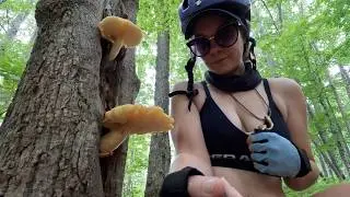 Greenbriar River Trail: Biking & Mushroom Hunting!