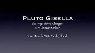 Pluto Gisella Video