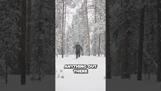 Winter Wonderland Capturing the Beauty and Challenges of Thick Snow