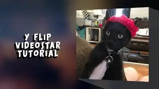 Y-Flip/ Video Star Tutorial