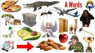 A Words | Vocabulary Words With A | English Vocabulary With Picture | Art | Artist | Air | Apple
