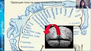Здоровье нервной системы 6