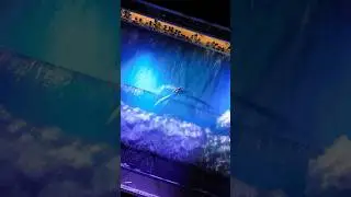 Night surfing in Hawaii