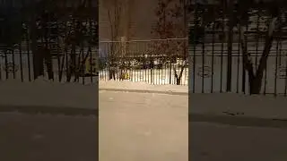 10.12.2022 Раннее субботнее утро.