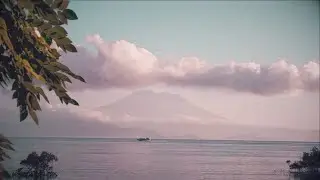 TOUKAN TOUKAN - Mangrove (OFFICIAL VIDEO)