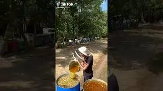 качаем подсолнух.