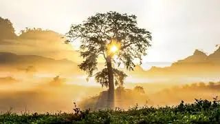 Хадисы Пророка Мухаммада ﷺ о женщинах, намазе и смерти