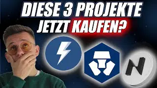 Diese ALTCOINS kaufe ich JETZT nochmal! 