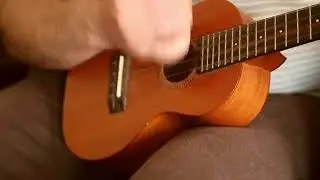 Арго   укулеле с аккордами , Жорка - гордость Советского Союза!!!