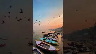 Nature love #youtubeshorts #naturesounds