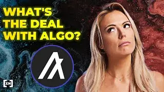 Algorand Explained | A Crypto Jack of All Trades?
