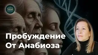 Пробуждение_на_беседе_Безэмоциональность_Уход_в_Анабиоз_Нет_чувств_Безразличие_Умирание_личности_