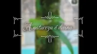 A Natureza é divina.