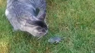 20180613 122148fvd
