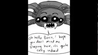 Spider