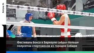 Фестиваль бокса в Барнауле собрал больше полусотни спортсменов из городов Сибири