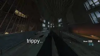 Mob of The Dead on 400 FOV is weird...