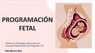Programación Fetal