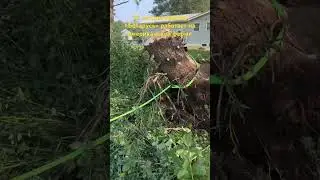 Трактор 