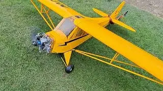 MAIDEN / TEST FLIGHT - 1/4 SCALE HANGAR 9 PIPER CUB J3 - ASP 160 FT PETROL CONVERSION - 2024