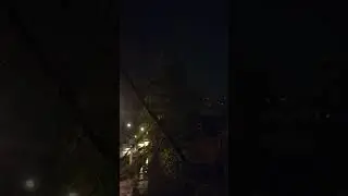 7.10.2023 Упала старая елка.