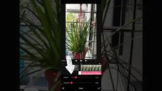 How to Fade In And Fade Out Music /Audio In Vita App 