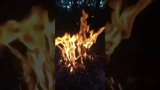 Пляска