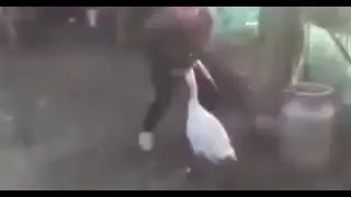 🤣🤣🤣