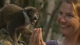 Dinîr des Makis - Maki dinner