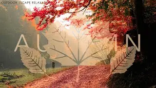 Deeply Relaxing: Music To Heal All Pains of Body Soul And Spirit | Autumn Ambiance Music