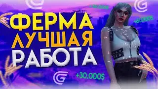 HOW TO MAKE MONEY QUICKLY IN GRAND RP | PROFITABLE FARMING IN GTA 5