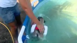 Если мой мопс не умеет плавать, я его научу