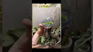 ч3 Обзор горшков для фитильного полива 💫 