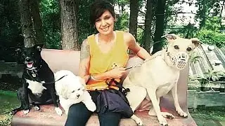 Fotos Passeador de Cães - Dog Walker - Curso