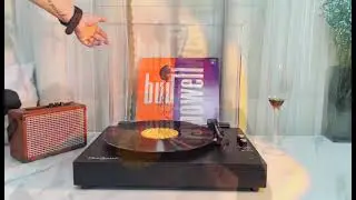 Vinyl Records LP Turntable Retro Record Player Built-in Speakers Vintage Gramophone