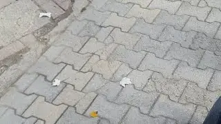 Pogradec, Albania