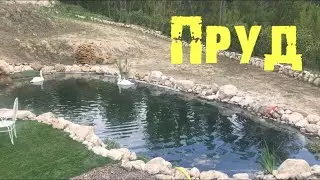 Чистка пруда