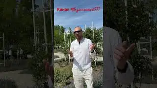 Созависимые . Кто это?