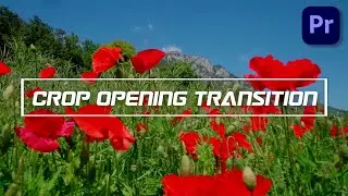Crop Opening Transition Effect in Premiere Pro