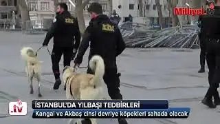 YILBAŞINDA KANGAL KÖPEKLERİ'DE GÖREV BAŞINDA