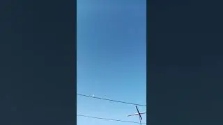 Голуби Кыргызстана.Голуби Талас байке в Сокулуке