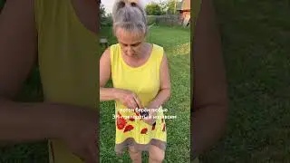 Натуральное удобрение из скошенной травы! Куда деть скошенную траву. Лучшее удобрение