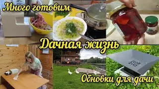 Дачные будни: пол дня на кухне. Обновки для дома и для участка. Прогулка в парке.