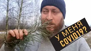 I EAT TREES, I CURE CORONA! TRADITIONAL METHODS!