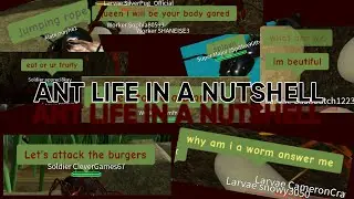Ant Life in a Nutshell | Voiceover