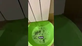 Обычные батареи могут быть опасны для ваших детей!