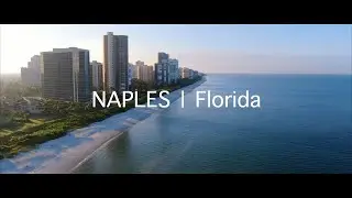 Dolphins Naples Florida | Drone video