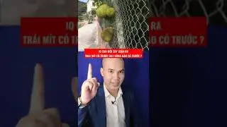 Câu đố IQ! IQ bạn thế nào?#shorts #youtubeshorts #caudo #tiktok #tobavuong #dovui #amway #iq #short